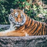 hotwire promo code - new jersey zoos